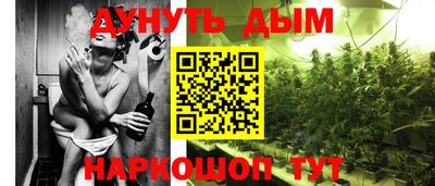 эйфоретик Гусь-Хрустальный