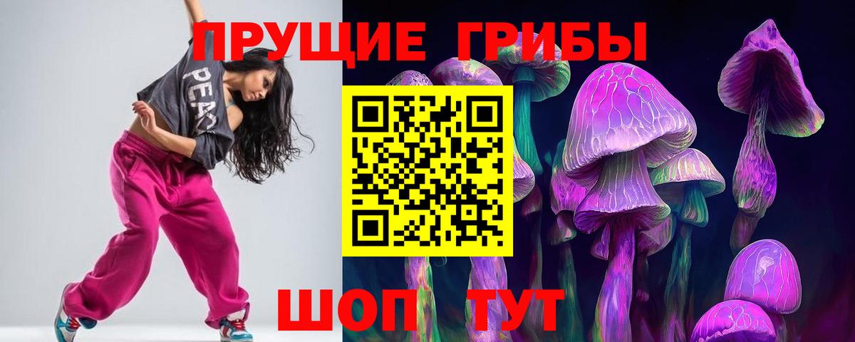 где найти   Галлюциногенные грибы ЛСД  Кудрово  Вход с VPN  Галлюциногенные грибы мицелий 