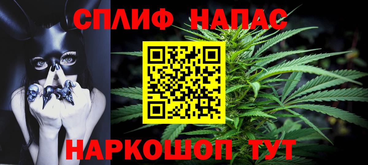 Шишки марихуана сатива Кудрово